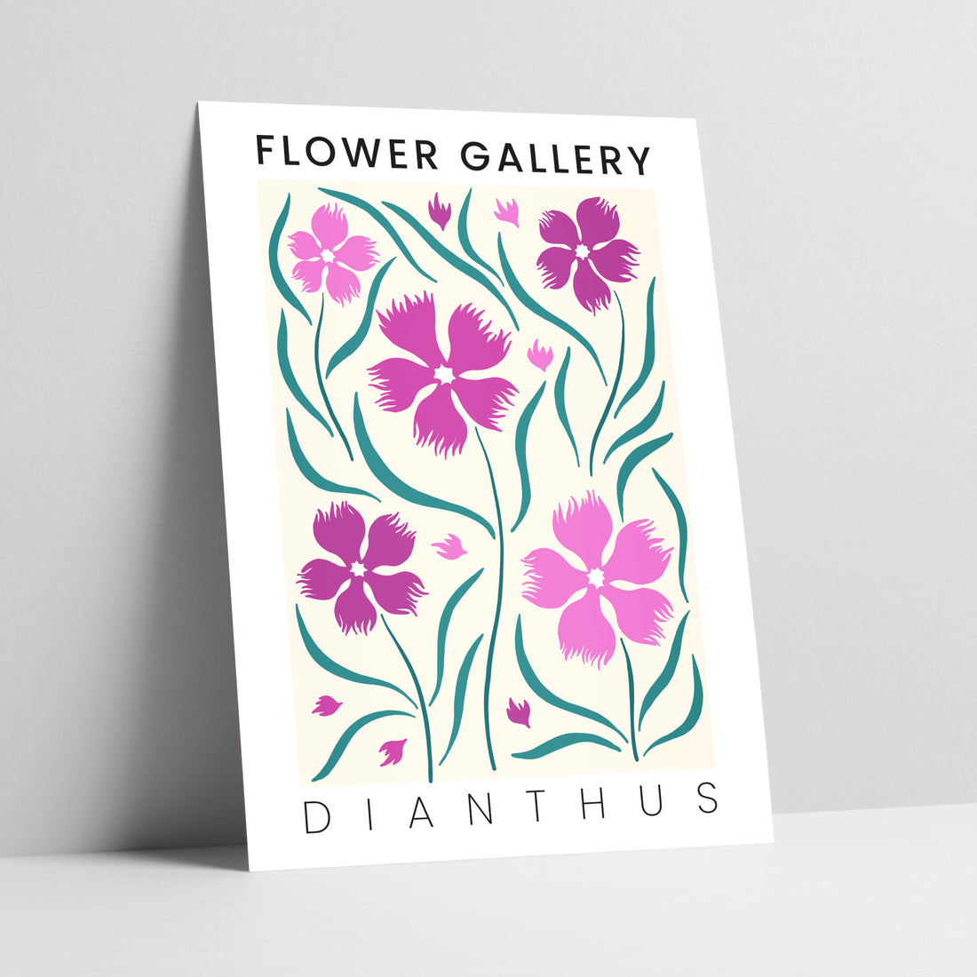 Flower Gallery: Dianthus Art Print