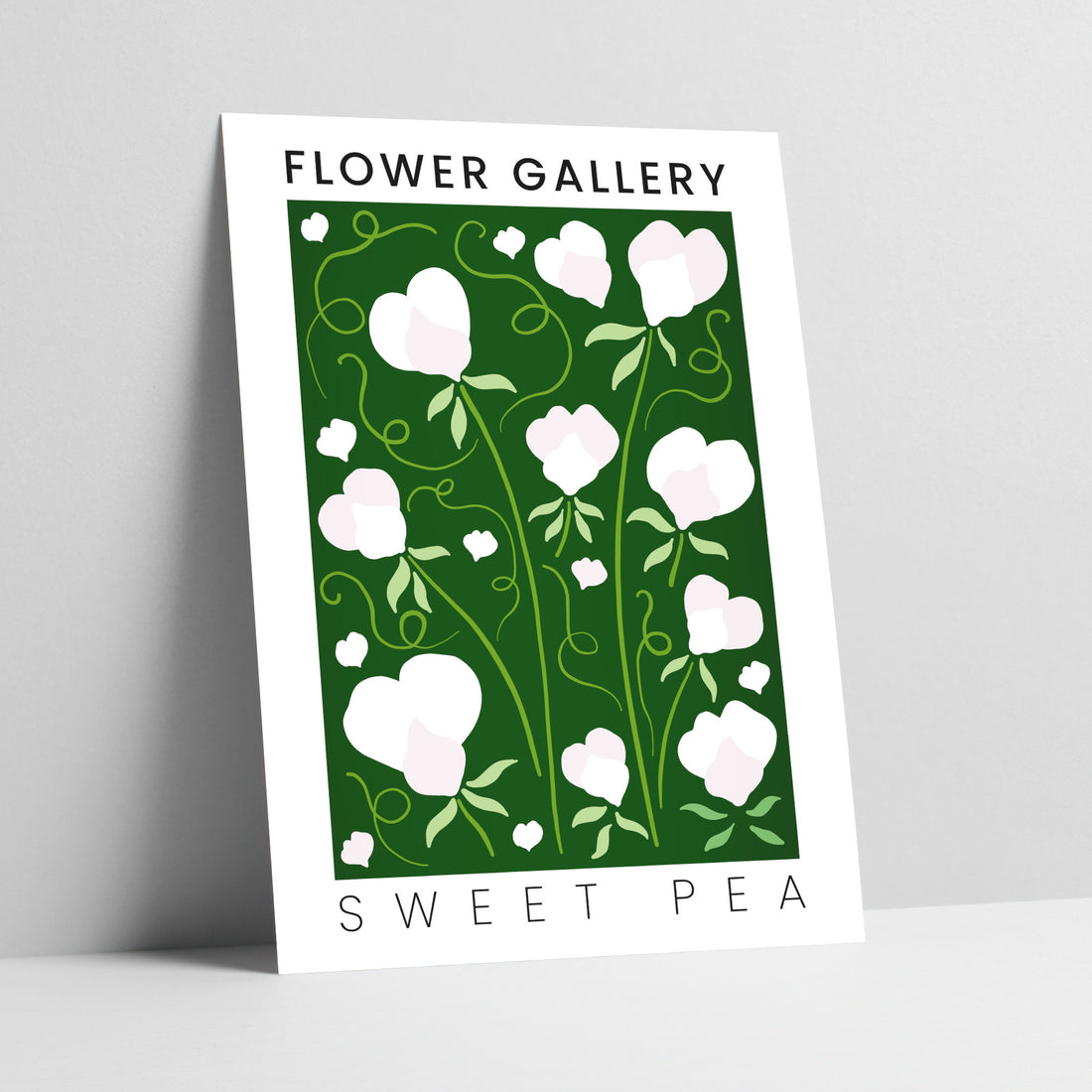 Flower Gallery: Sweet Pea Art Print
