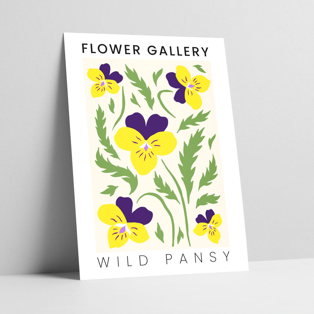 Flower Gallery: Wild Pansy Art Print