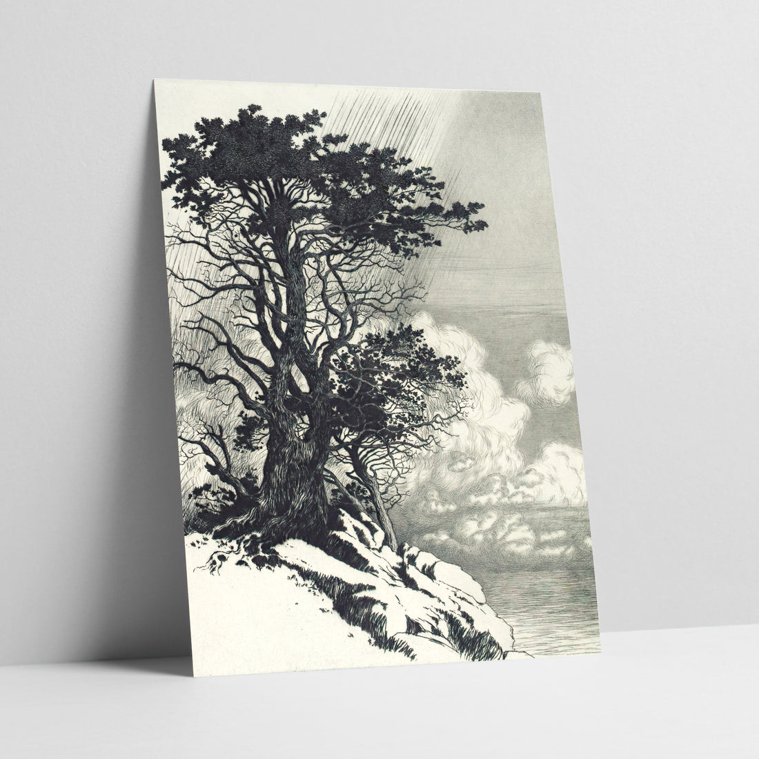 Coastal Tree Landscape Art Print