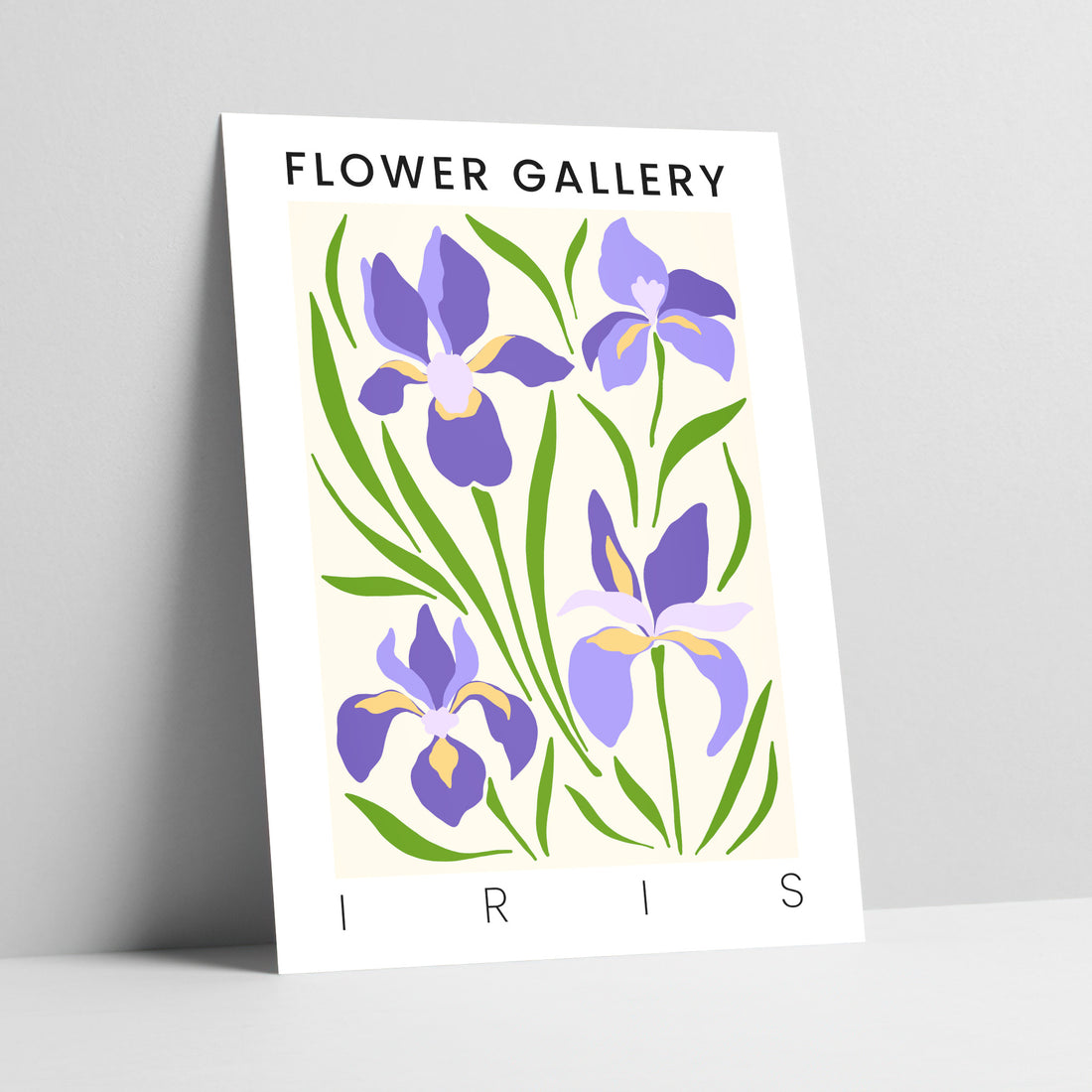 Flower Gallery: Iris Art Print