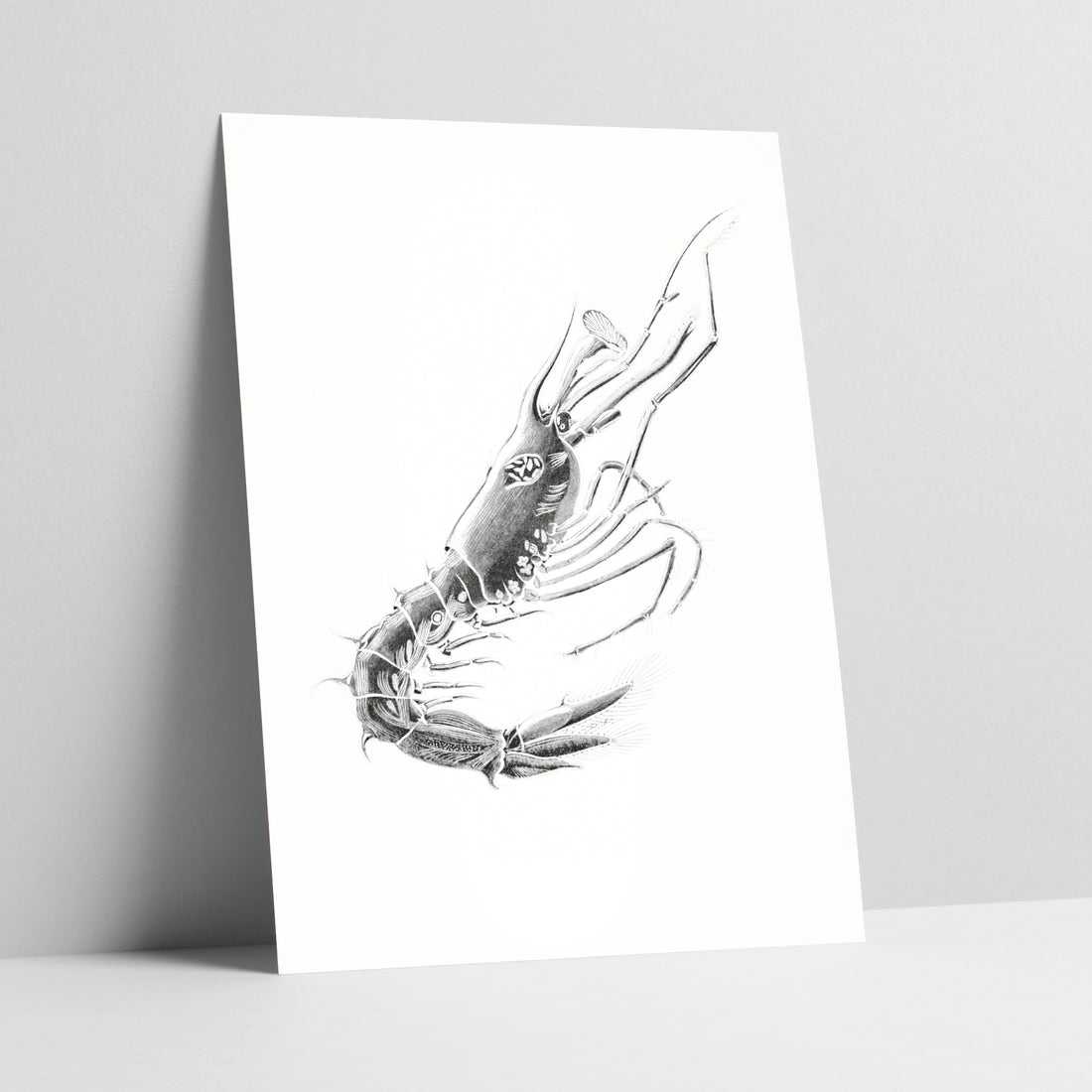 Maritime Majesty: Noble Lobster Illustration Art Print