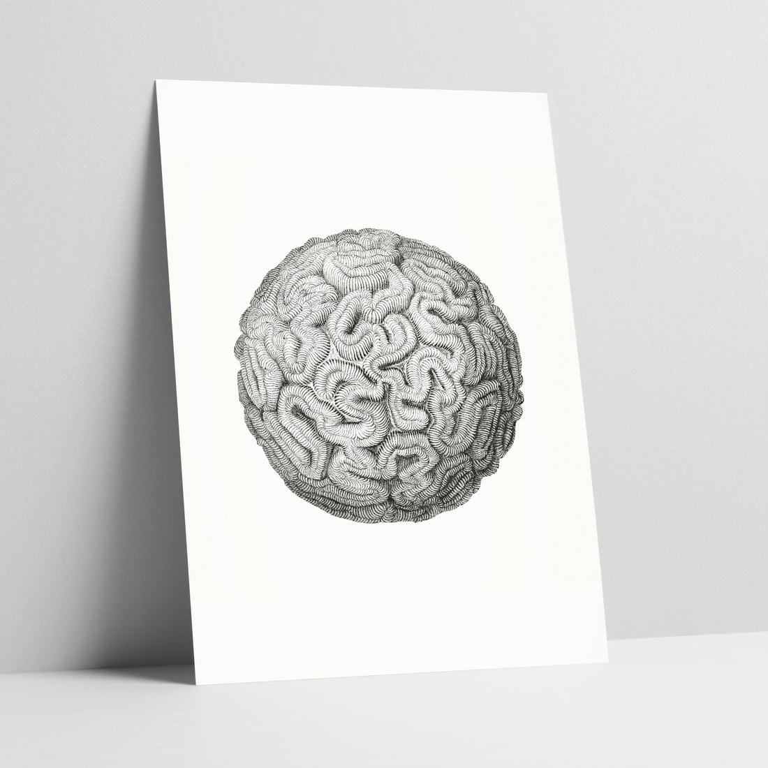 Brain Coral Wisdom: Timeless Marine Illustration Art Print