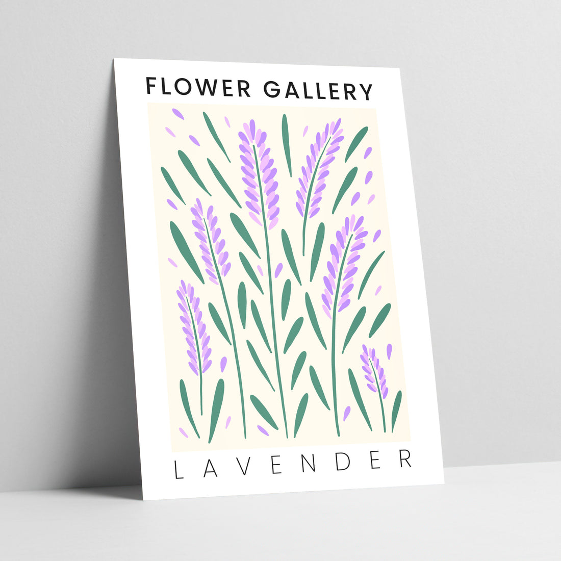 Flower Gallery: Lavender Art Print