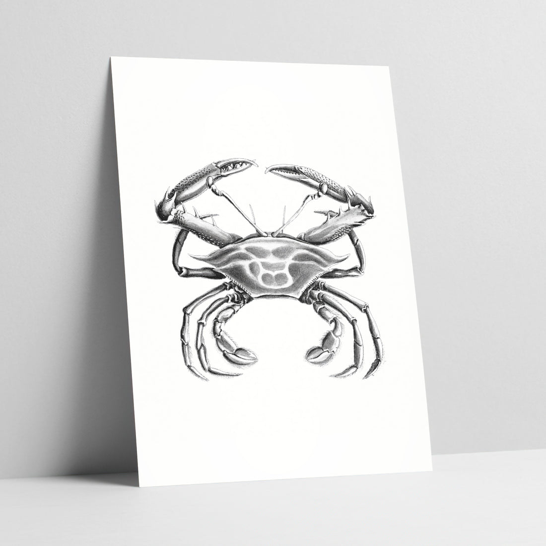 Crustacean Poise: Classic Crab Illustration Art Print