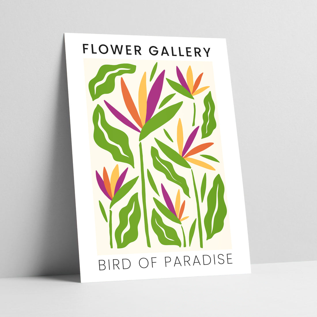 Flower Gallery: Bird of Paradise Art Print