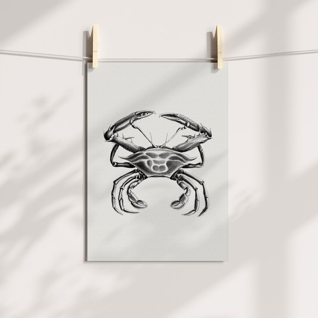 Crustacean Poise: Classic Crab Illustration Printable Art