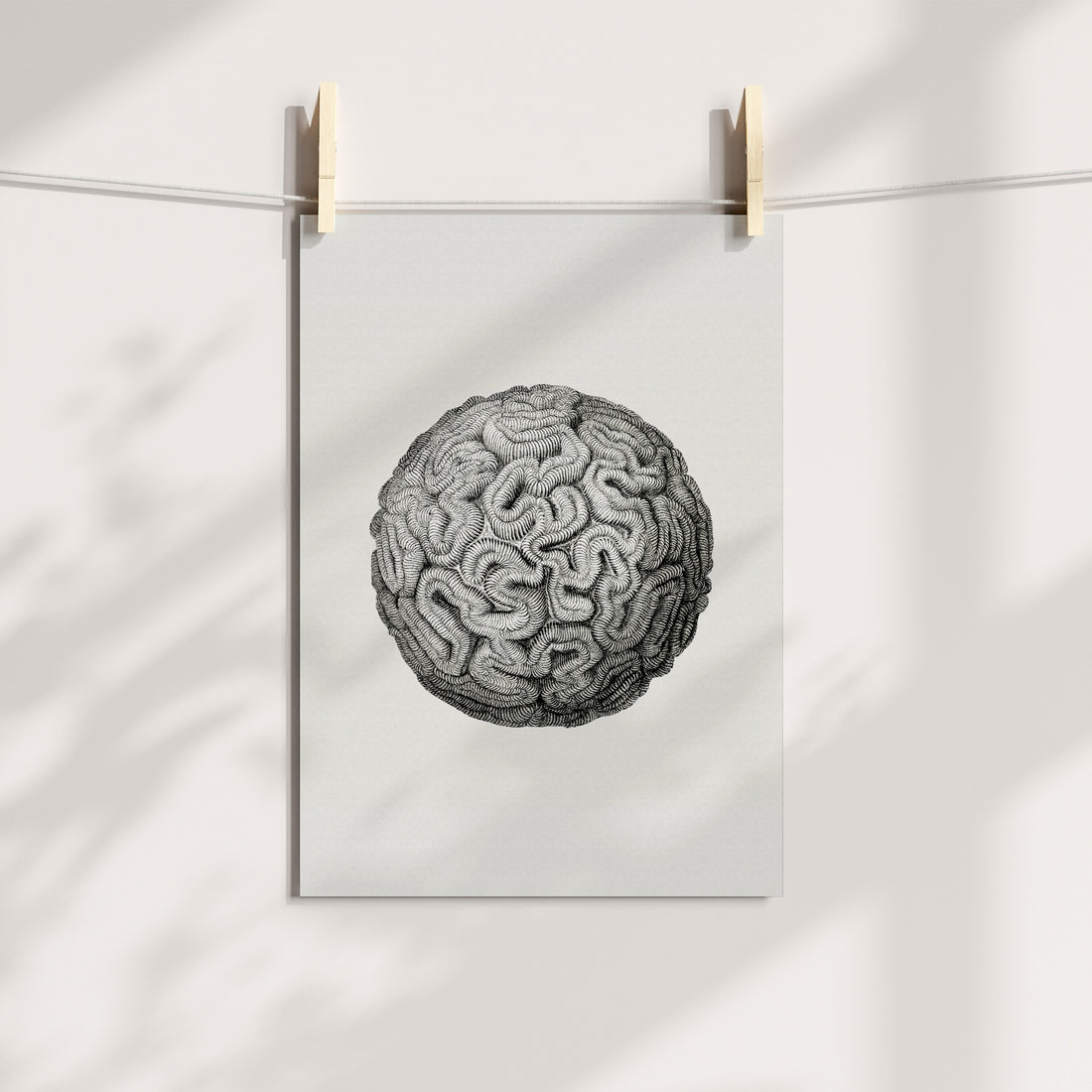 Brain Coral Wisdom: Timeless Marine Illustration Printable Art