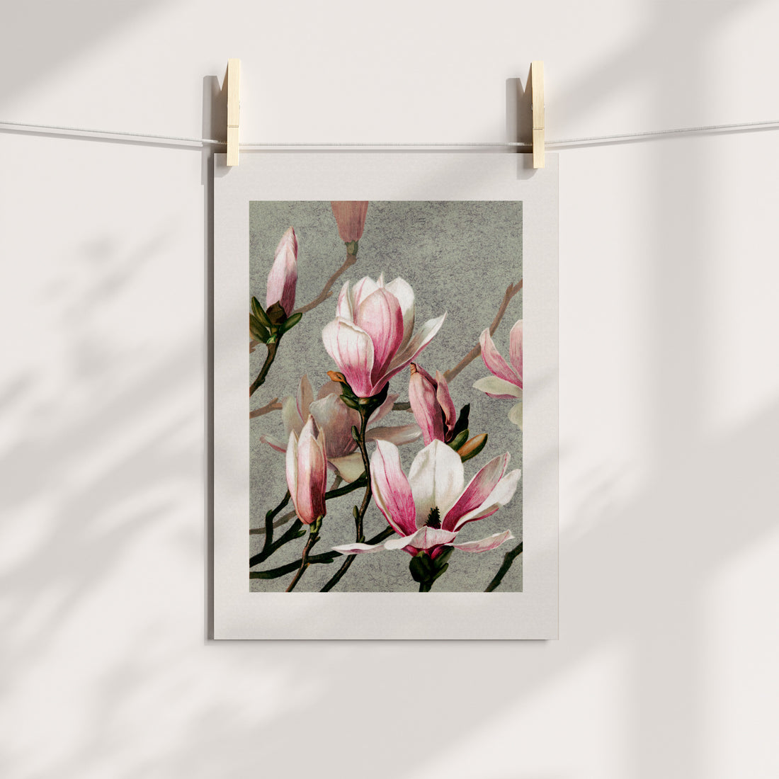 Magnolias Vintage Botanical Printable Art