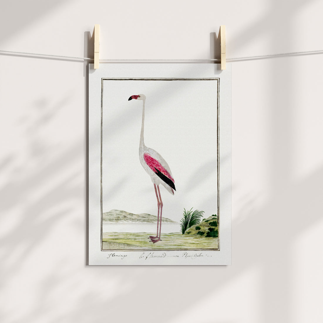 Flamingo Printable Art