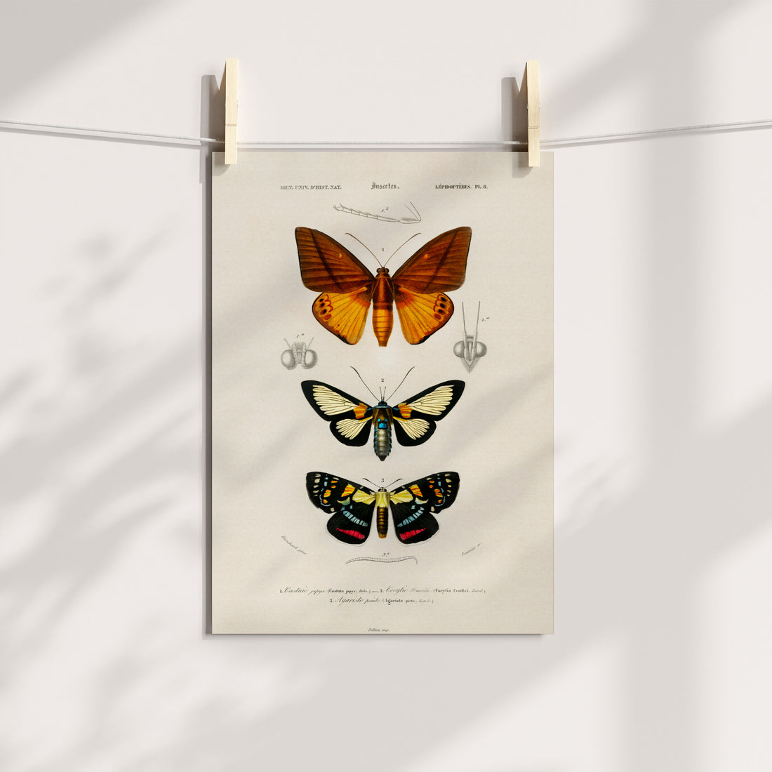 Trio of Twilight Moths Printable Art