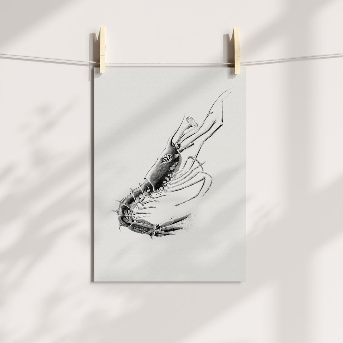Maritime Majesty: Noble Lobster Illustration Printable Art