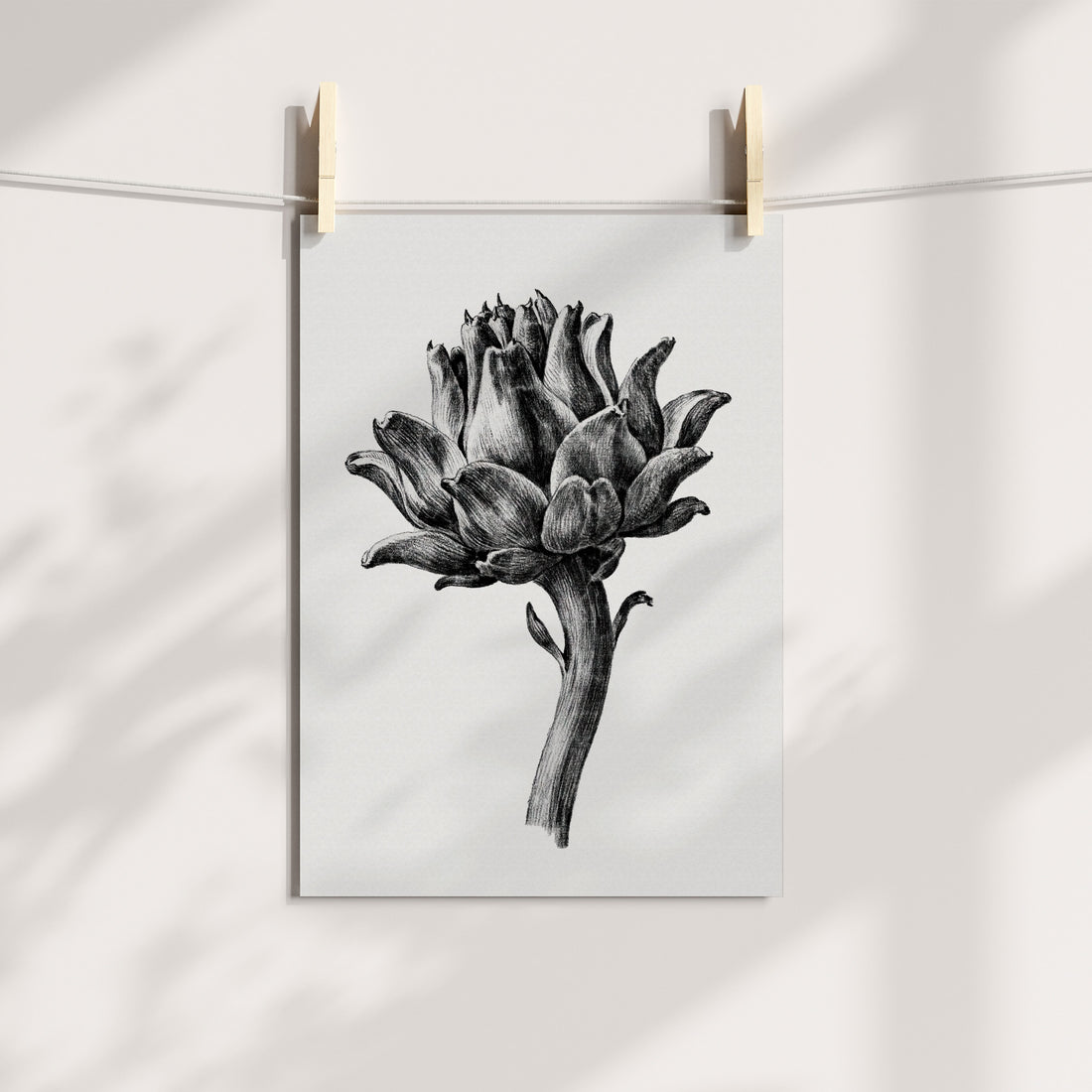 Artichoke Botanical Sketch Printable Art