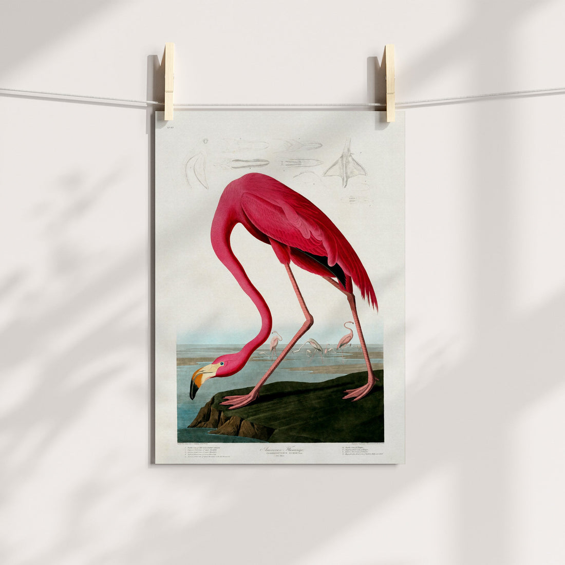 Pink Flamingo Etching Printable Art