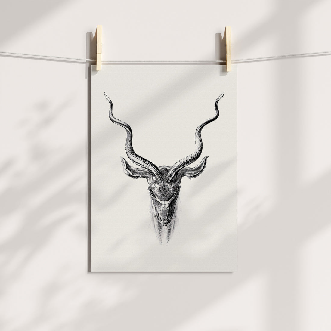 Antelope Printable Art
