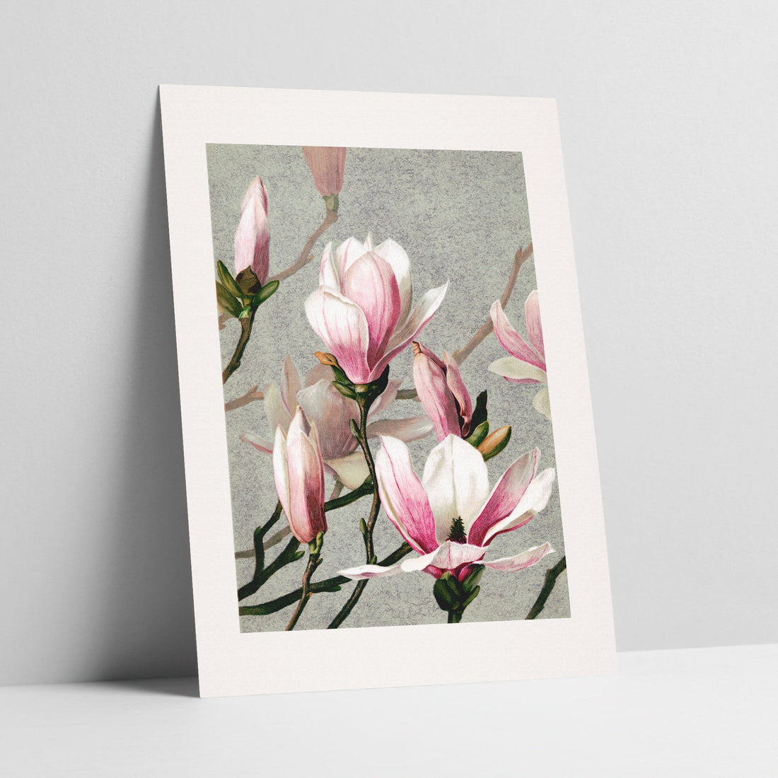 Magnolias Vintage Botanical Art Print