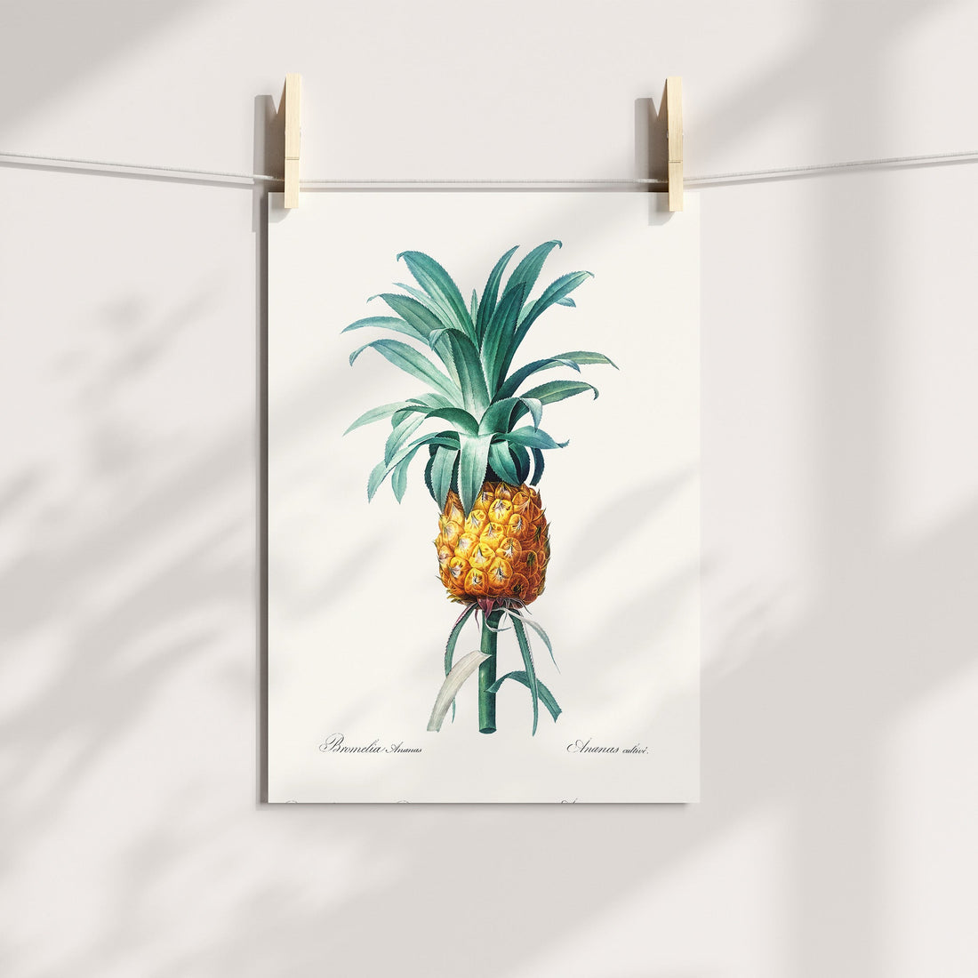 Pineapple Botanical Printable Art